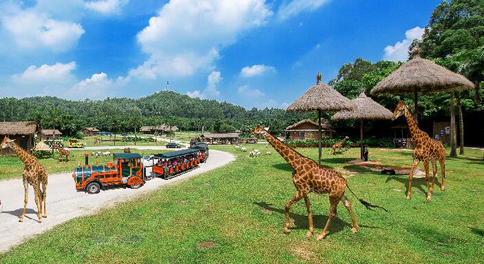 亲子研学旅行设计