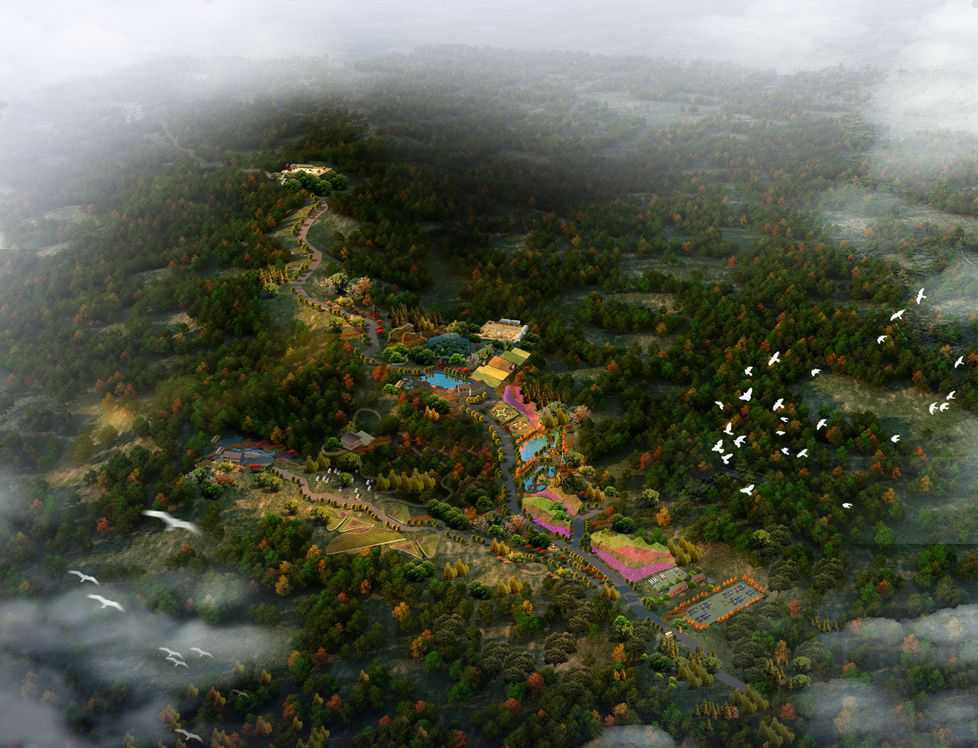 旅游规划