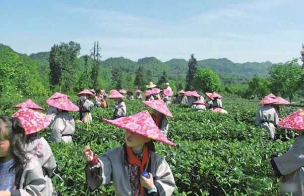 研学基地活动规划设计