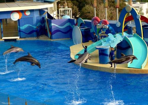 水族馆、海洋公园、海洋馆规划设计精品案例