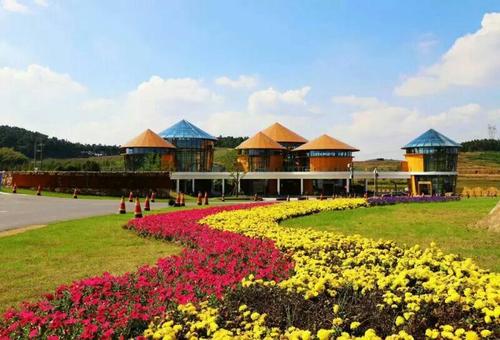 综合性产品项目模式