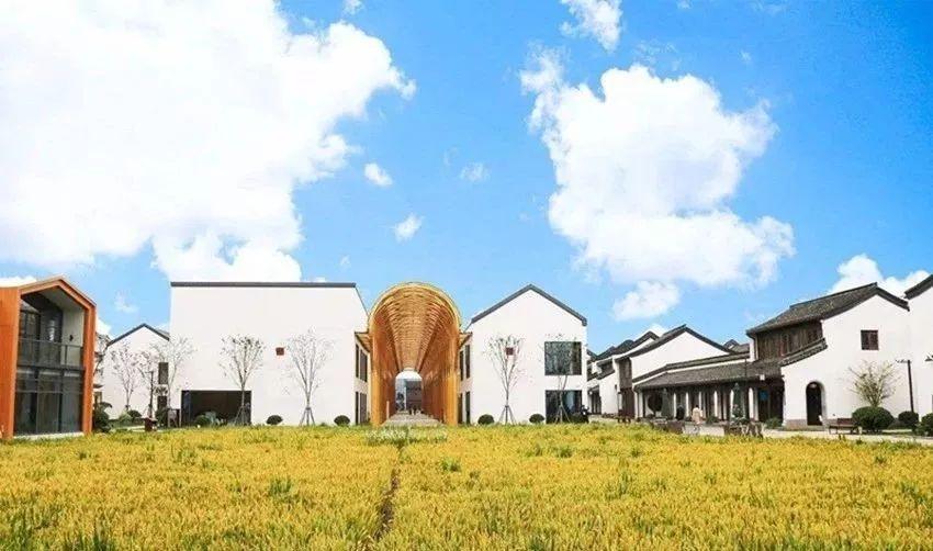 综合性产品项目模式