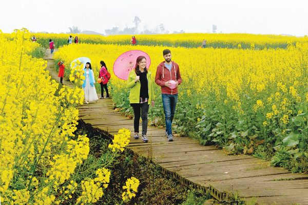 生态景观设计的原则