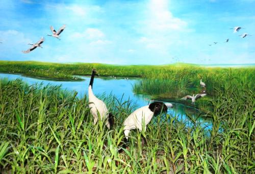 生态景观设计的原则