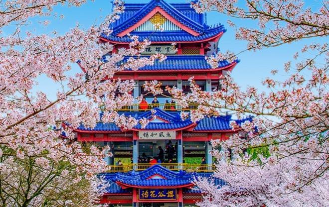 风景区规划设计