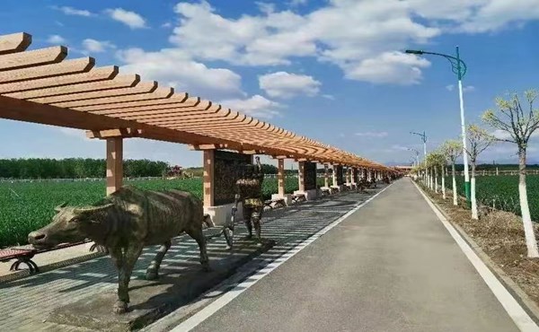 生态农场设计之道路系统